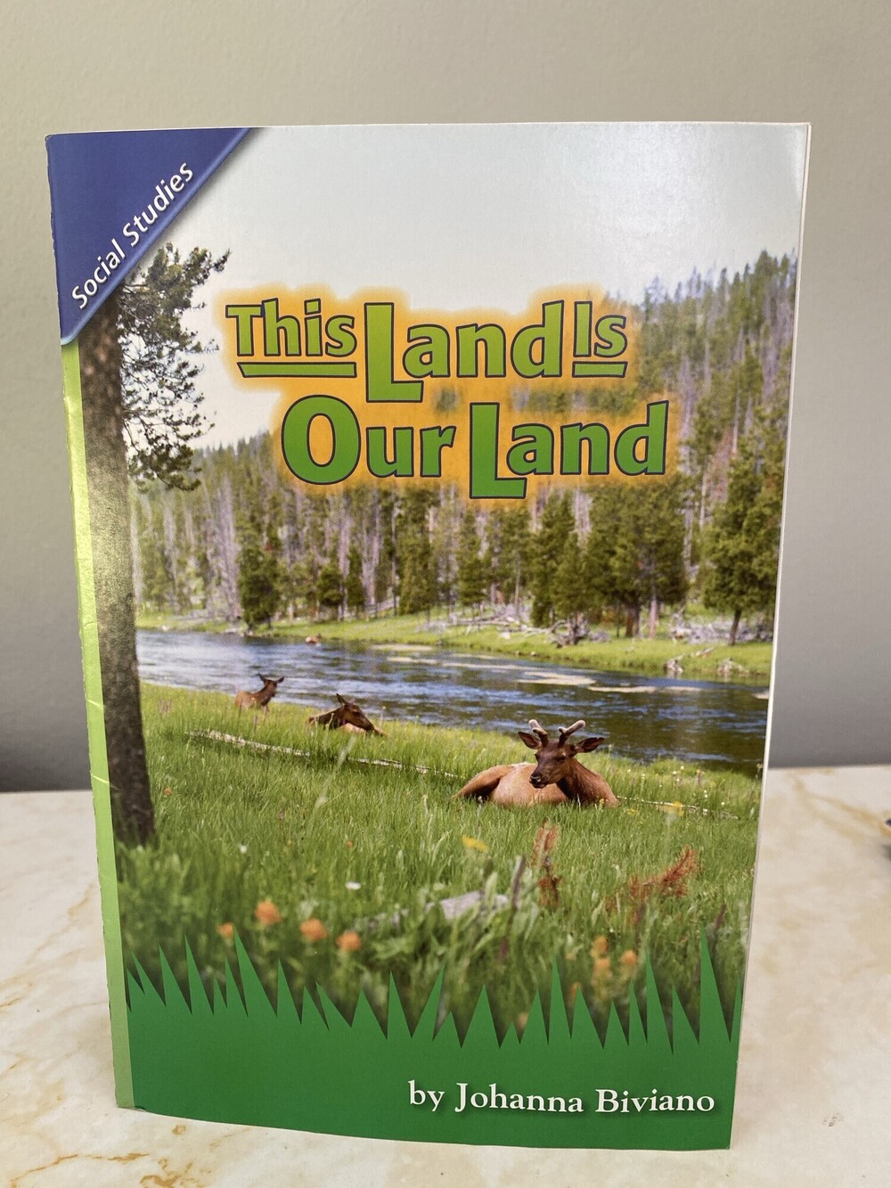 Pearson Scott Foresman This Land Is Our Land Reading Street 4.1.5 Book